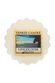 YANKEE CANDLE Set de tarte de ceara parfumata Ginger Dusk - 2 bucati Femei