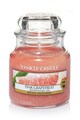 YANKEE CANDLE Lumanare parfumata in borcan mic Pink Grapefruit Barbati