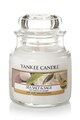 YANKEE CANDLE Lumanare parfumata in borcan mic Sea Salt&Sage Barbati