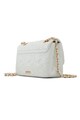 Aldo Geanta crossbody cu bareta de lant Abire Femei