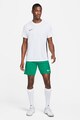 Nike Pantaloni scurti cu talie elastica pentru fotbal Park Barbati