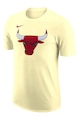 Nike Tricou de baschet Chicago Bulls Essentials Barbati