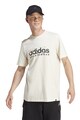 adidas Sportswear Logós pamutpóló férfi