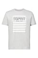 Esprit Десенирана тениска от органичен памук Мъже
