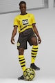 Puma Borussia Dortmund dryCELL kerek nyakú mez férfi