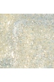 Opi Lac de unghii  - NL SPRING Gliterally Shimmer 15ml Femei