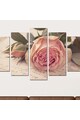 Charm Комплект пана Rose Photo Print Жени