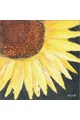 Mendola Art Tablou pictat manual Floarea Soarelui B, 40 x 40 cm Femei