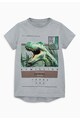 NEXT Tricou gri cu imprimeu cu un dinozaur Baieti