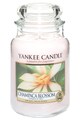 YANKEE CANDLE Lumanare parfumata mare in borcan Champaca Blossom Barbati