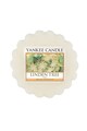 YANKEE CANDLE Set de tarte de ceara parfumata Linden Tree - 2 piese Femei