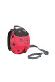 Trespass Rucsac cu model grafic Ladybird Baieti